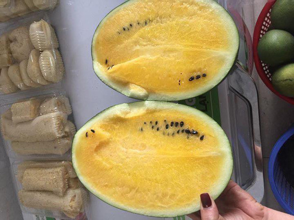 Dua hau mau la gia cao gap 3 lan, chat luong co tuong xung?-Hinh-2