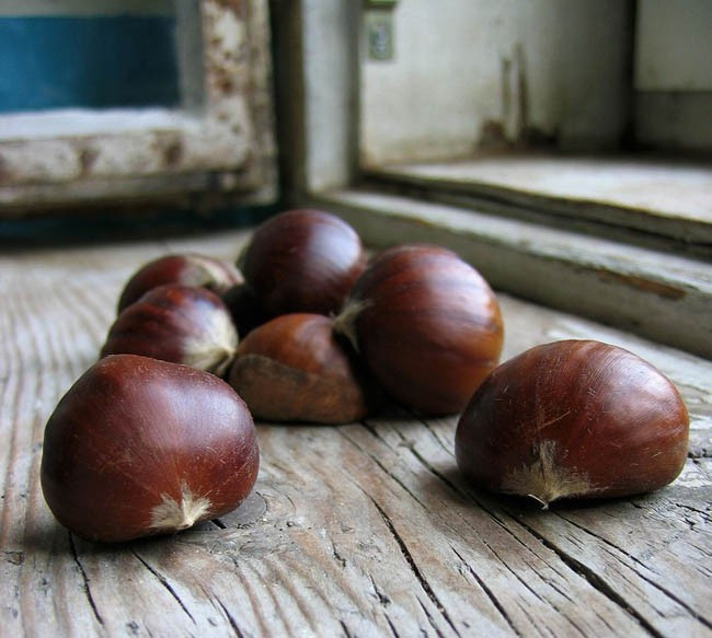 Đặt hạt dẻ xung quanh nhà: Một trong những loại thuốc chống côn trùng hiệu quả nhất (đặc biệt với nhện) là hạt dẻ. Vì thế, bạn có thể đặt hạt dẻ ở một số nơi như gần cửa ra vào, cửa sổ, tủ quần áo… để chống và đuổi côn trùng tốt hơn.