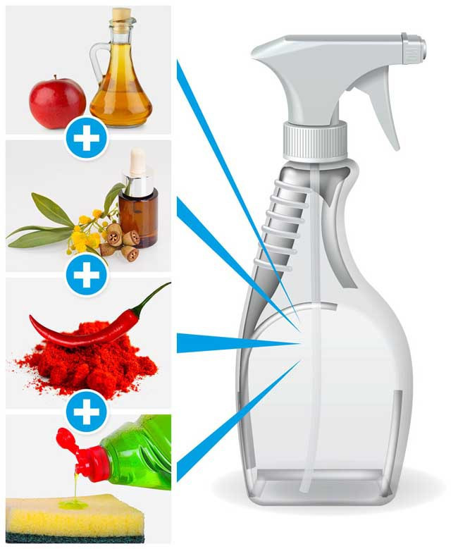 Tự làm thuốc xịt chống côn trùng: Bạn có thể làm thuốc chống côn trùng bằng cách trộn giấm táo, dầu, hạt tiêu và xà phòng lỏng trong một bình xịt. Hãy xịt dung dịch này mỗi ngày trong nhà. Ngoài ra, hãy nhớ xịt dung dịch dọc theo cửa sổ, bệ cửa sổ và cửa ra vào để côn trùng tránh xa ngôi nhà của bạn.