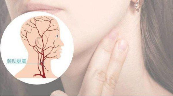 Co dau ngung tim vi chu re hon vao co trong dem tan hon