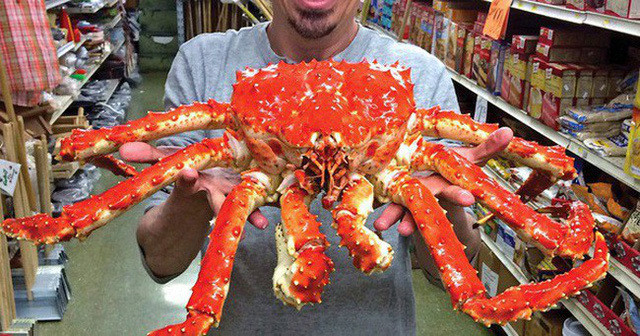 Cua hoang de ban nguyen con tran lan o Viet Nam re nhu o My