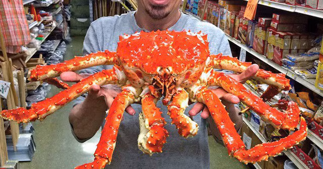 Cua hoang de ban nguyen con tran lan o Viet Nam re nhu o My