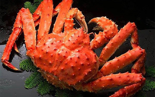 Cua hoang de ban nguyen con tran lan o Viet Nam re nhu o My-Hinh-2