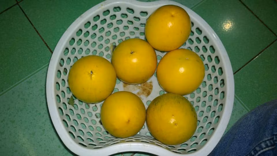 Bi mat chua tung biet ve vu sua hoang kim 1 trieu dong/kg