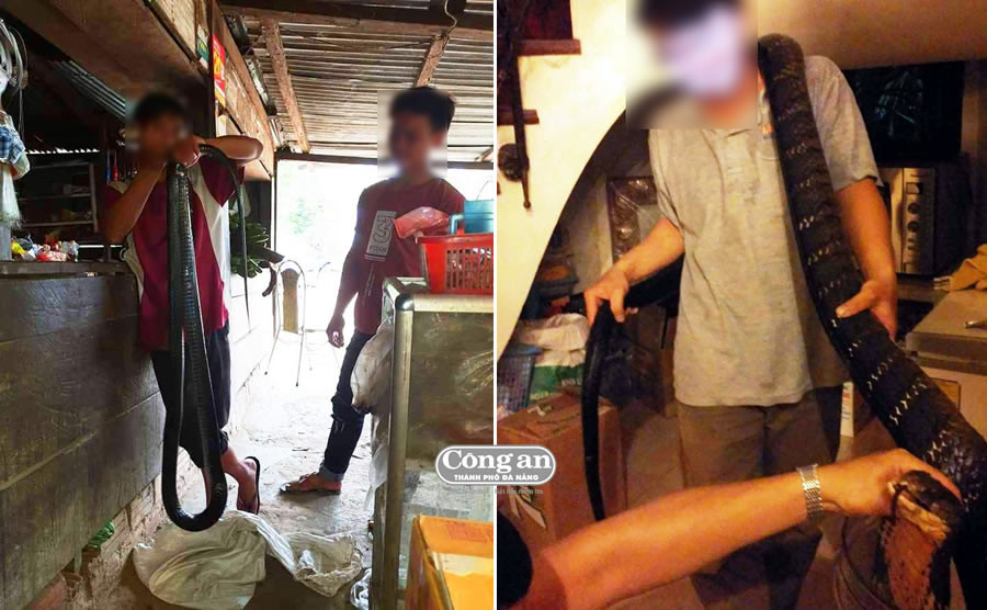 Len vung cao nghe chuyen ran khong lo