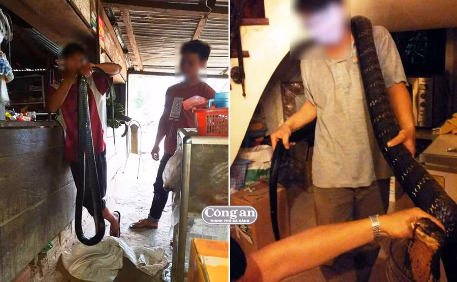 Len vung cao nghe chuyen ran khong lo