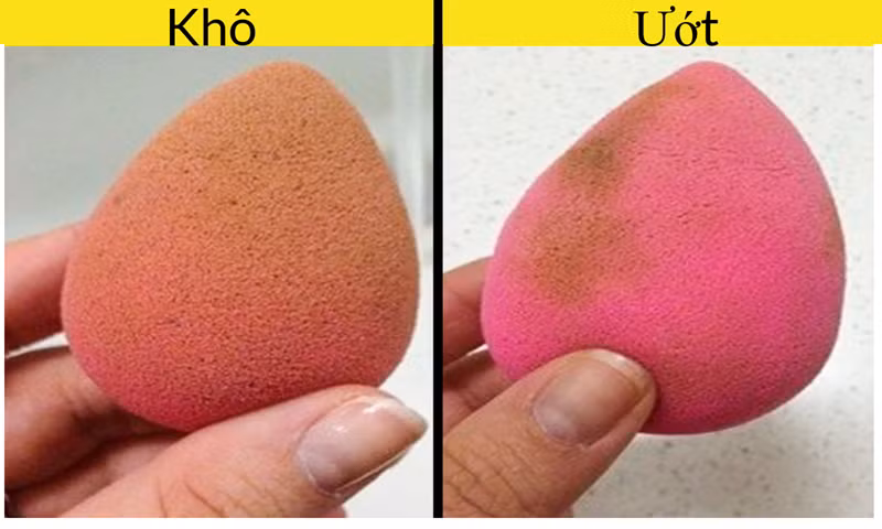 Mút trang điểm cần được làm ướt, bởi vì miếng mút khô sẽ hút kem nền và tán kem không đều.