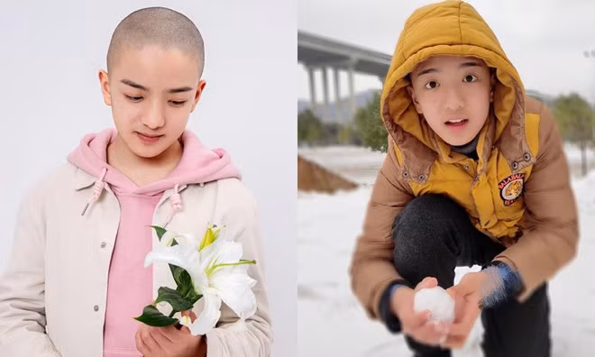 Đoàn Trí Văn sinh ngày 19/12/2006 tại Hồ Nam, Trung Quốc. Cậu bé tham gia nghệ thuật từ sớm, góp mặt trong Tam quốc diễn nghĩa, Ta phải làm hồng quân.