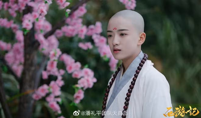 Dù chỉ mới 13-15 tuổi nhưng họ đã khiến khán giả yêu thích nhờ ngoại hình phù hợp với nhân vật. Đặc biệt nhân vật Đường Tăng do Đoàn Trí Văn thể hiện gây ấn tượng với ngoại hình sáng, gương mặt điển trai.