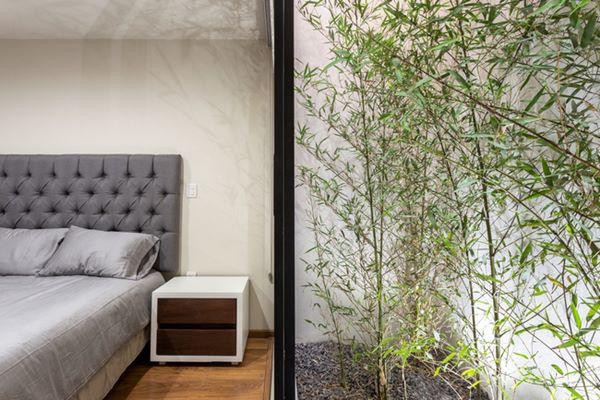 Hàng tre cảnh độc đáo được trồng trước mỗi phòng ngủ.