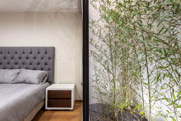 Hàng tre cảnh độc đáo được trồng trước mỗi phòng ngủ.