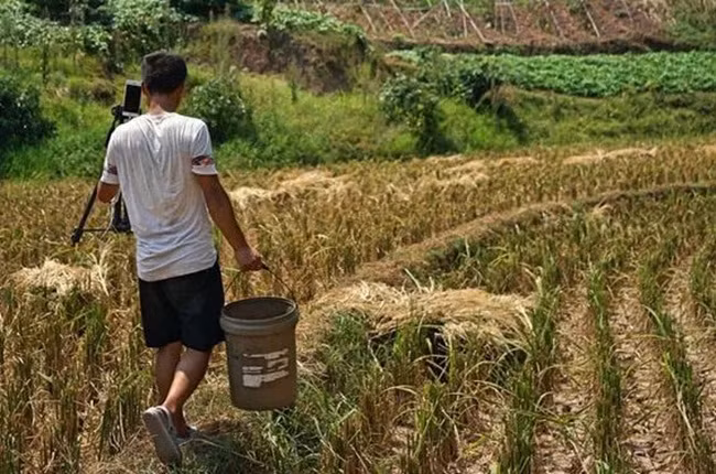 Một ngày của Liu bắt đầu lúc 6h. Anh sẽ quay cảnh mình chăn gà, đi ra đồng, câu cá, nấu cơm. Ban đầu chỉ là các đoạn livestream cho vui, không ngờ hút người xem quá đông.