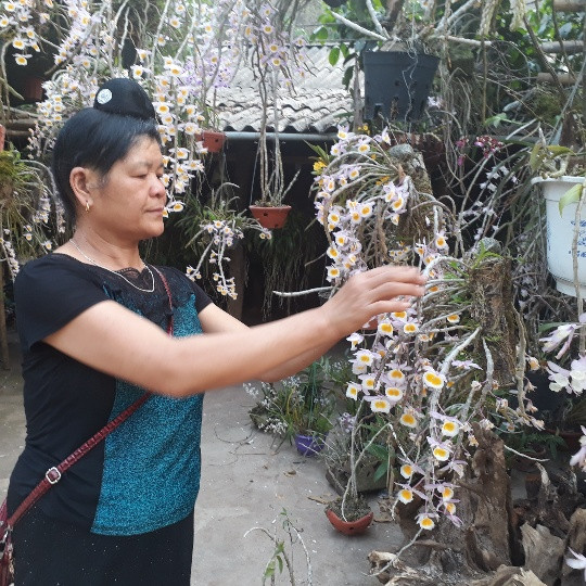 La liet, lung lang lan rung khoe sac tren deo Chieng Dong-Hinh-3