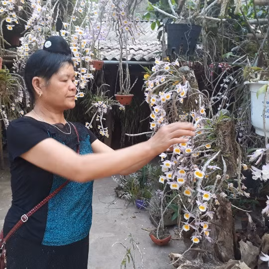 La liet, lung lang lan rung khoe sac tren deo Chieng Dong-Hinh-3