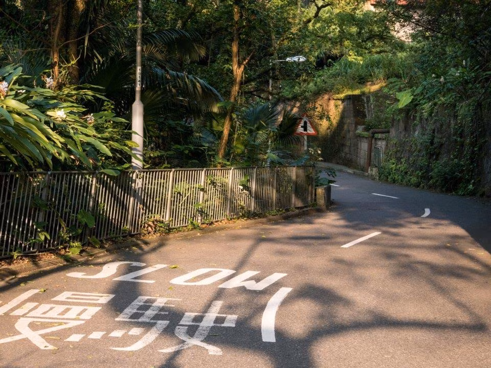 Peak từ lâu đã là khu phố độc nhất của Hong Kong. Cho đến năm 1947, chỉ có người Anh và người châu Âu được phép sống ở đó.