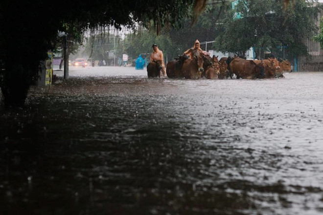 Người dân vật lộn mưu sinh trong trận ngập lụt kinh hoàng ở Phú Quốc Nguoi dan vat lon muu sinh trong tran ngap lut kinh hoang o Phu Quoc