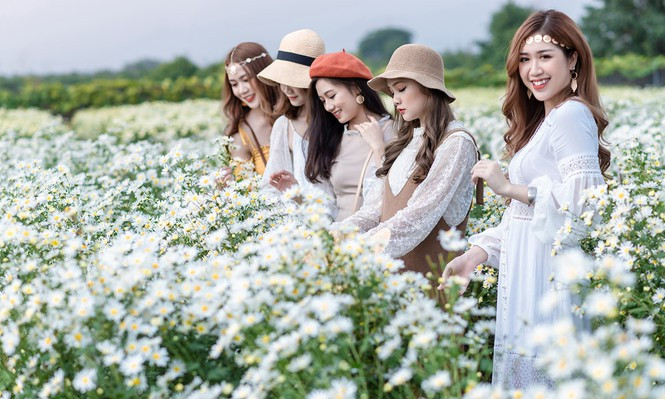 Để hòa mình vào không gian đầy hương sắc của mùa hoa tháng 11, nhiều du khách, nhất là các bạn trẻ tìm đến các vườn hoa ngoại thành Hà Nội để tạo dáng chụp hình như cánh đồng hoa ở Thạc Cầu - Long Biên với 3.000m2 quen thuộc với tên gọi "Thảo nguyên hoa".