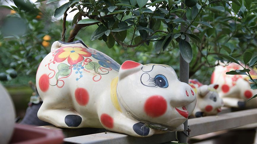 Những chú lợn đất nung được tô vẽ hoa văn sặc sỡ, vô cùng ngộ nghĩnh kích thích người mua. Phần lớn những cây quất trồng trong chậu lợn đất đều được nhà vườn chọn lựa khá kỹ, với kích cỡ cây vừa đủ, cành và quả thả dáng tự nhiên.