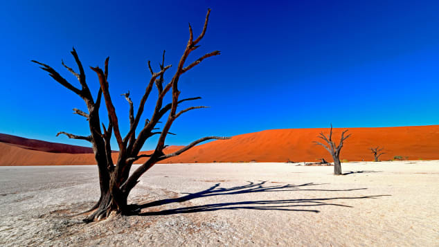 7. Dead Vlei, Namibia Dead Vlei là một chảo đất sét trắng nằm gần “chảo muối” nổi tiếng hơn của Sossusvlei, bên trong Công viên Namib-Naukluft ở Namibia. Dead Vlei – nghĩa là “đầm lầy chết” - nằm giữa những cồn cát cao nhất thế giới, với độ cao tới 400 mét. Khu vực cằn cỗi này là nơi từng có rất nhiều cây lạc đà khổng lồ chết, khô héo vì sự thay đổi mạnh mẽ của khí hậu 900 năm trước. Thời tiết khô ráo khiến chúng không thể bị phân hủy và tạo ra một cảnh quan thực sự kỳ lạ.