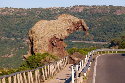 2. Hòn đá voi, Italy: Tảng đá này có thành phần chính là trachyte, chất có trong dung nham núi lửa. Sở dĩ, tảng đá được gọi là đá voi vì hình dáng giống hệt một con voi. Một tên gọi khác của tảng đá là Sa Pedra Pertunta, có nghĩa là "đá đục lỗ", do có rất nhiều lỗ nhỏ trên thân. Bạn muốn tới chiêm ngưỡng tảng đá tương đối dễ dàng vì nó nằm ngay cạnh con đường Castelsardo, Sardinia, Italy.