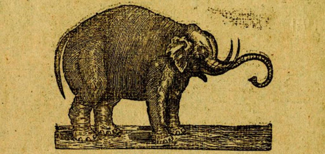 Nhận ra cơ hội làm ăn "sáng cửa", Bailey không bắt Old Bet làm việc đồng áng nữa. Thay vào đó, ông đem con voi đi biểu diễn lấy tiền. Hachaliah Bailey thu 25-50 xu của những người muốn chiêm ngưỡng con voi bằng xương bằng thịt. Ai không trả tiền sẽ không thấy được bởi ông đã căng một tấm màn che hết người Old Bet. Sự kiện này có thể xem như khởi đầu cho những rạp xiếc thú ở Mỹ. Ảnh: Bowery Boys.