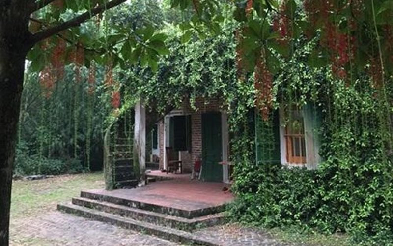 Khu nhà vườn ngoại ô này là nơi cả gia đình về nghỉ dưỡng cuối tuần cũng là không gian xanh để nữ nghệ sĩ nạp lại năng lượng để tiếp tục cống hiến trong nghệ thuật.