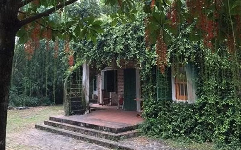 Khu nhà vườn ngoại ô này là nơi cả gia đình về nghỉ dưỡng cuối tuần cũng là không gian xanh để nữ nghệ sĩ nạp lại năng lượng để tiếp tục cống hiến trong nghệ thuật.