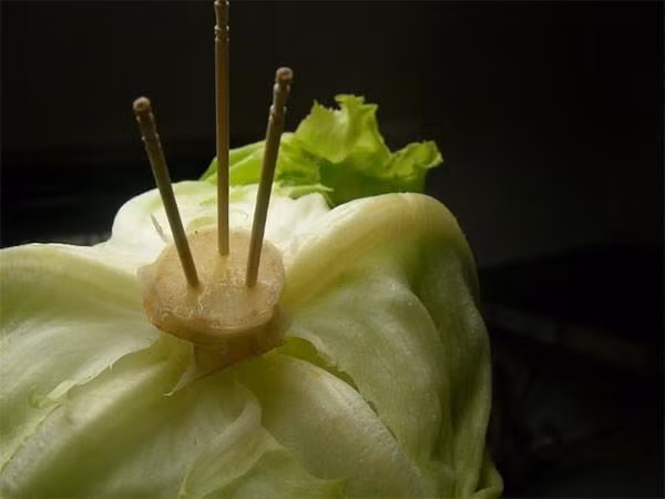 Meo bao quan bap cai nhu chuyen gia chi bang 3 que tam