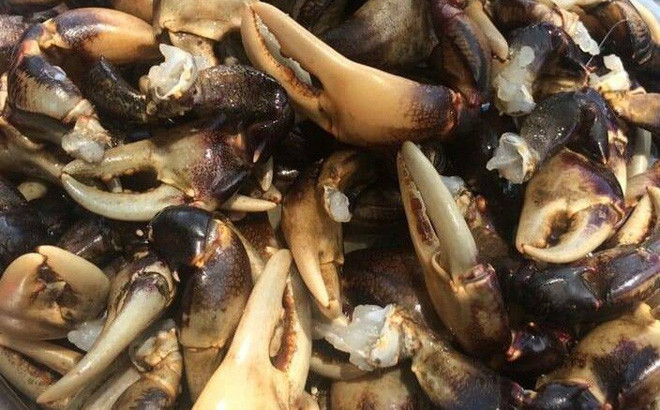 Cang cua dong mien Tay gia nua trieu dong, co tien cung kho mua