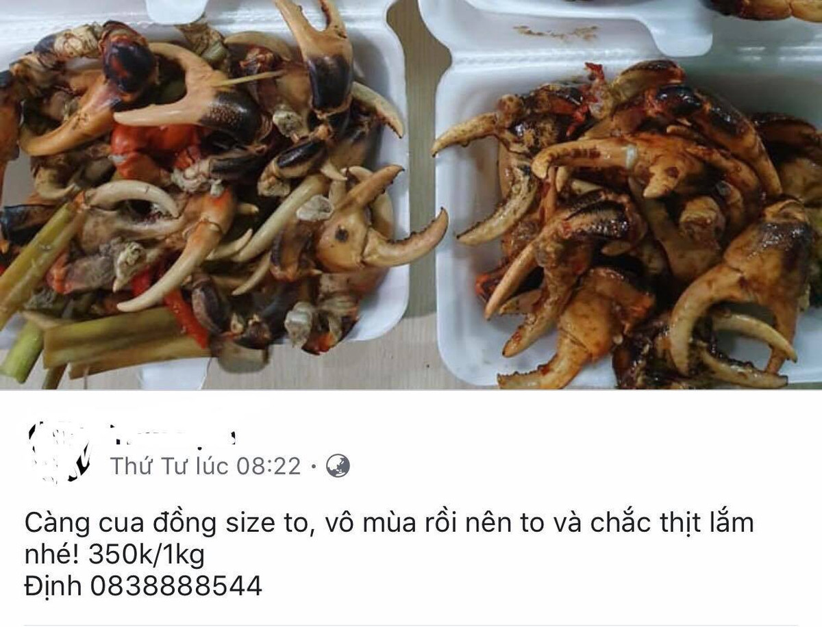 Cang cua dong mien Tay gia nua trieu dong, co tien cung kho mua-Hinh-3