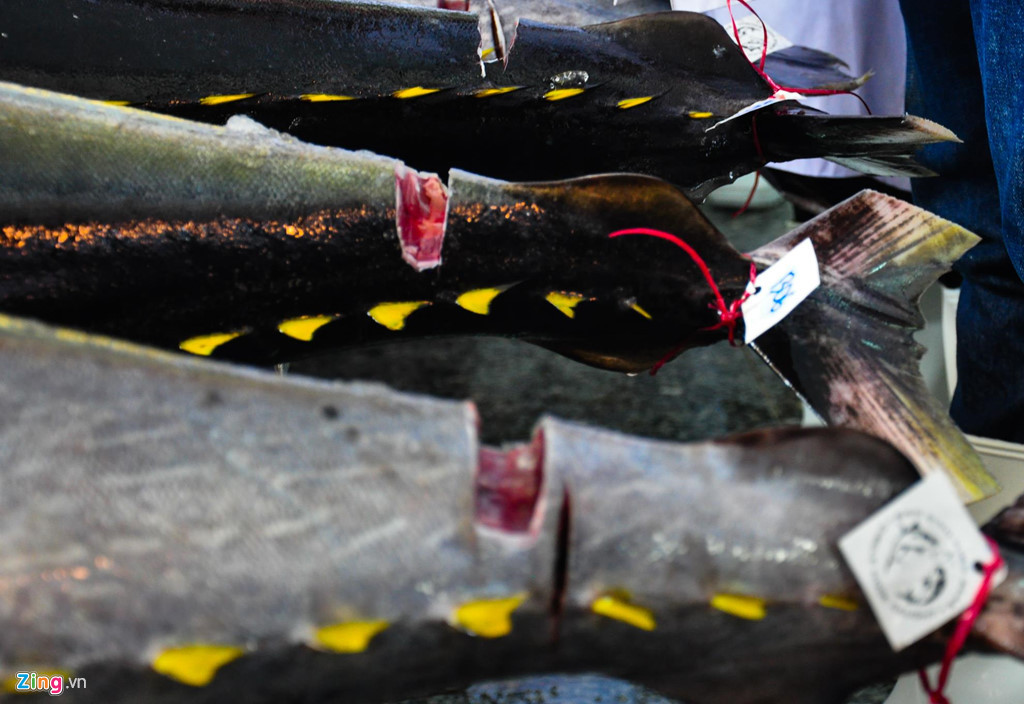 Cá ngừ đại dương Bình Định được gắn mã số xuất khẩu nguyên con sang thị trường Nhật Bản. Theo ông Công, nghề câu cá ngừ đại dương không chỉ làm thay đổi đời sống của người dân nơi đây mà còn tạo động lực phát triển một số ngành nghề khác như: Thu mua, chế biến thủy sản, đóng, sửa chữa tàu, cơ khí, dịch vụ cung ứng nhiên liệu, đá lạnh, thực phẩm.