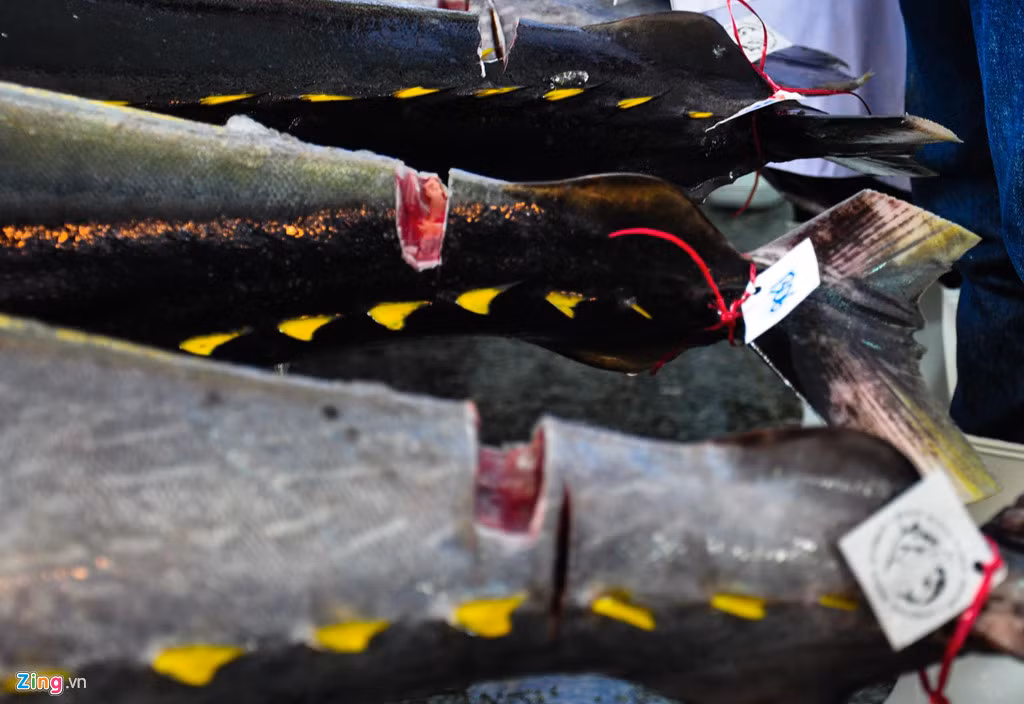 Cá ngừ đại dương Bình Định được gắn mã số xuất khẩu nguyên con sang thị trường Nhật Bản. Theo ông Công, nghề câu cá ngừ đại dương không chỉ làm thay đổi đời sống của người dân nơi đây mà còn tạo động lực phát triển một số ngành nghề khác như: Thu mua, chế biến thủy sản, đóng, sửa chữa tàu, cơ khí, dịch vụ cung ứng nhiên liệu, đá lạnh, thực phẩm.