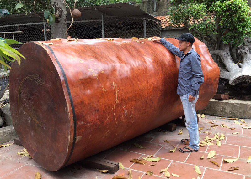 Bi an khuc go dai 3 met, dai gia Hai Phong tra gia gan 4 ty-Hinh-3