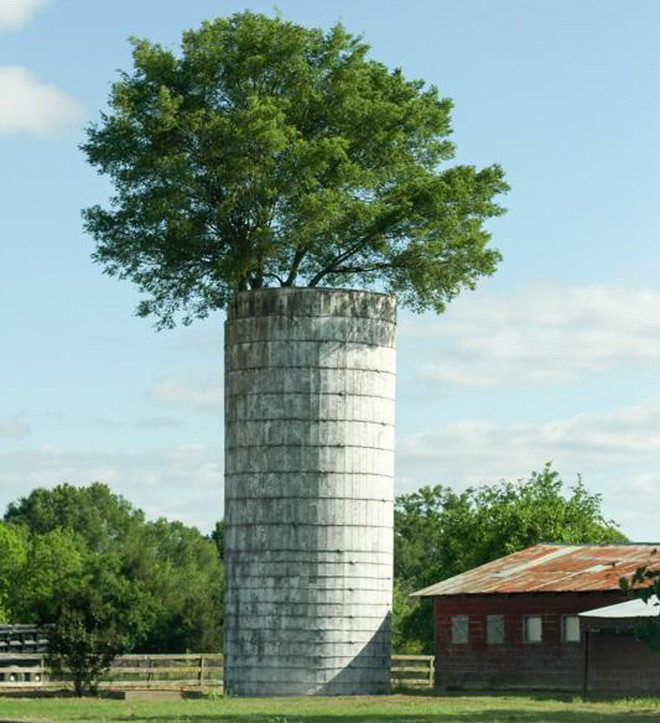 Khỏi cần phải lợp mái che làm gì cả.