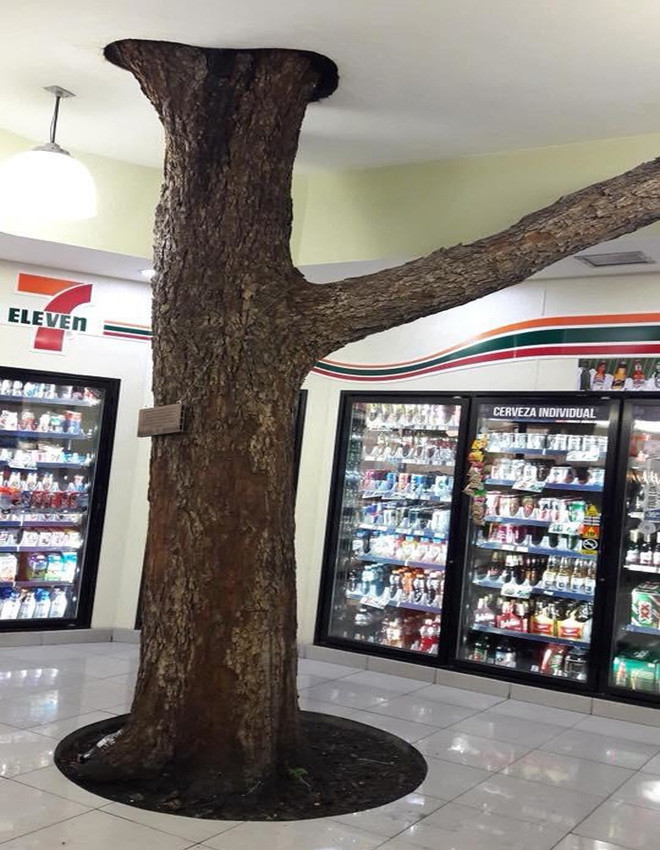 Cột trụ này chắc chắn thì khỏi bàn rồi.