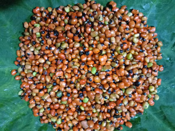 Hon tram nghin mot hat “be teo”, muon mua cung kho-Hinh-2