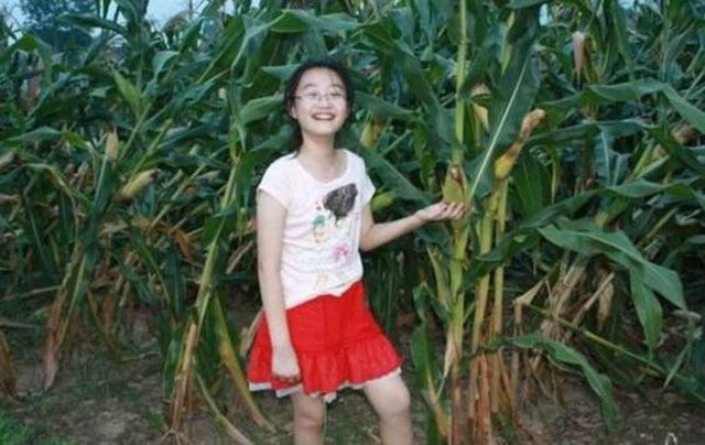 Con gai 16 tuoi len vao ruong ngo moi dem va cai ket cam dong