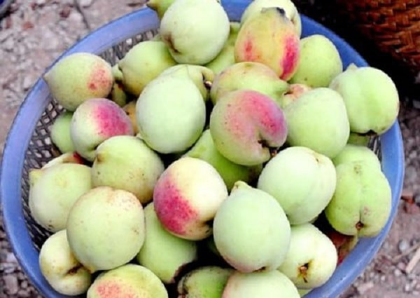 Chi can luot qua 3 giay biet ngay dao Trung Quoc tam thuoc