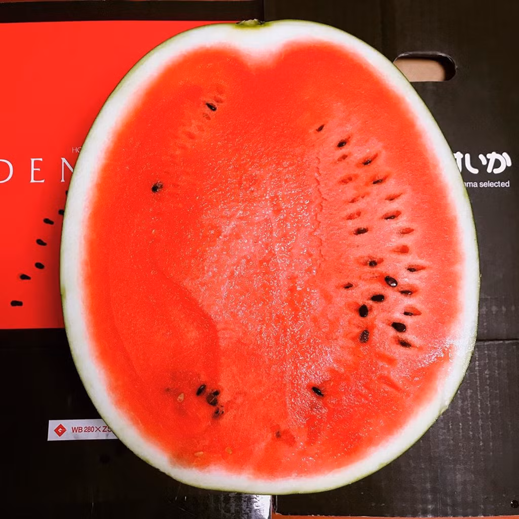 Một loại quả đắt đỏ cũng xuất xứ từ Hokkaido phải kể đến dưa hấu Densuke,có kích cỡ tương đương các giống dưa hấu thông thường, vỏ đậm màu. Dưa densuke có vỏ càng sẫm thì độ ngọt càng đậm. Mỗi vụ dưa chỉ thu hoạch khoảng vài chục trái. Dưa densuke có giá khoảng 250 USD và có thể lên đến hàng nghìn USD trong các cuộc đấu giá. Ảnh:wednesday.aug.6.