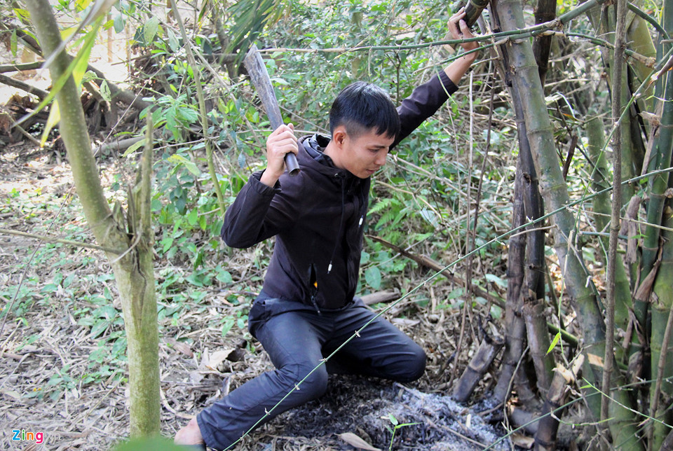 Cây nêu thường là những cây tre già, thẳng và cao từ 10-15 m, được lau sạch nhánh và trừ lại ngọn. Nhiều người còn dùng cây thuồng làm gốc và gắn ngọn cây tre vào.