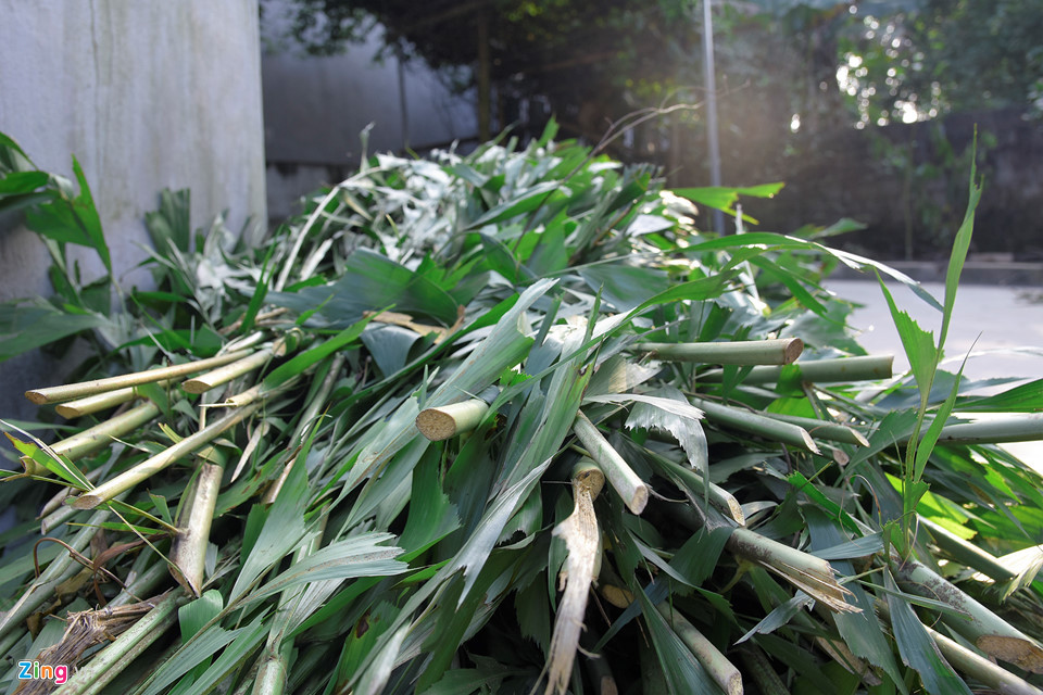 Trên thân cây nêu, người dân thường dùng lá cây đủng đỉnh bọc quanh để cây được đẹp hơn. Cây đủng đỉnh cũng là loài xua đuổi tà ma, mọc tự nhiên trong rừng. Muốn có lá đủng đỉnh, mọi người phải tự đi chặt hoặc mua với giá 200.000-220.000 đồng mỗi bó.