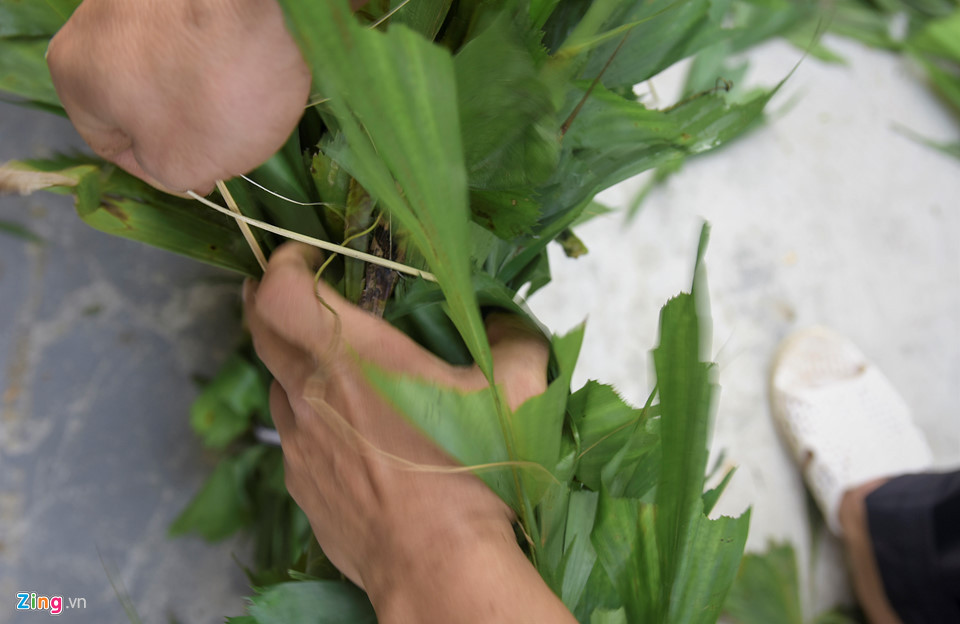 Bóng đèn nháy quấn quanh thân cây. Trên ngọn nêu có buộc nhiều thứ như túi nhỏ đựng trầu cau và ống sáo, cùng những miếng kim loại. Người ta tin rằng những vật treo ở cây nêu, cộng thêm những tiếng động của những khánh đất, là để báo hiệu cho ma quỷ biết rằng nơi đây là nhà có chủ, không được đến quấy nhiễu...