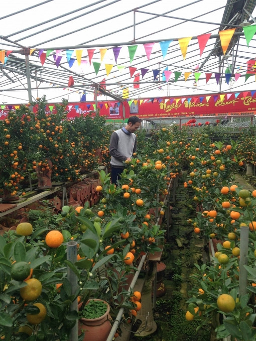 Nghệ nhân Bùi Thế Mạnh đang giới thiệu về nghệ thuật bon sai được kết hợp với thế dáng của một cây quất bình.