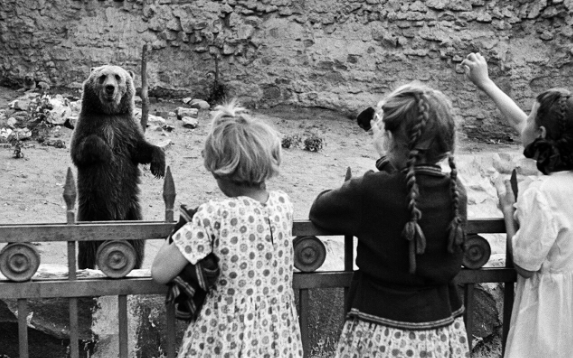 Các em nhỏ tới vườn thú Moscow năm 1944.