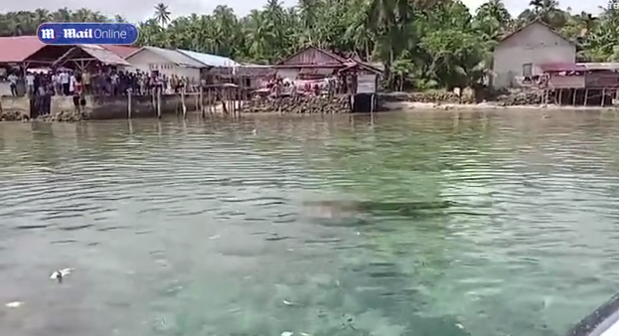 "Tôi thấy con cá sấu tấn công cô Zihura trên mặt nước. Chúng tôi hét lên những nó không thả cô ấy ra. Đó là một cảnh tượng kinh hoàng", cư dân Agustinus, 40 tuổi, kể lại.