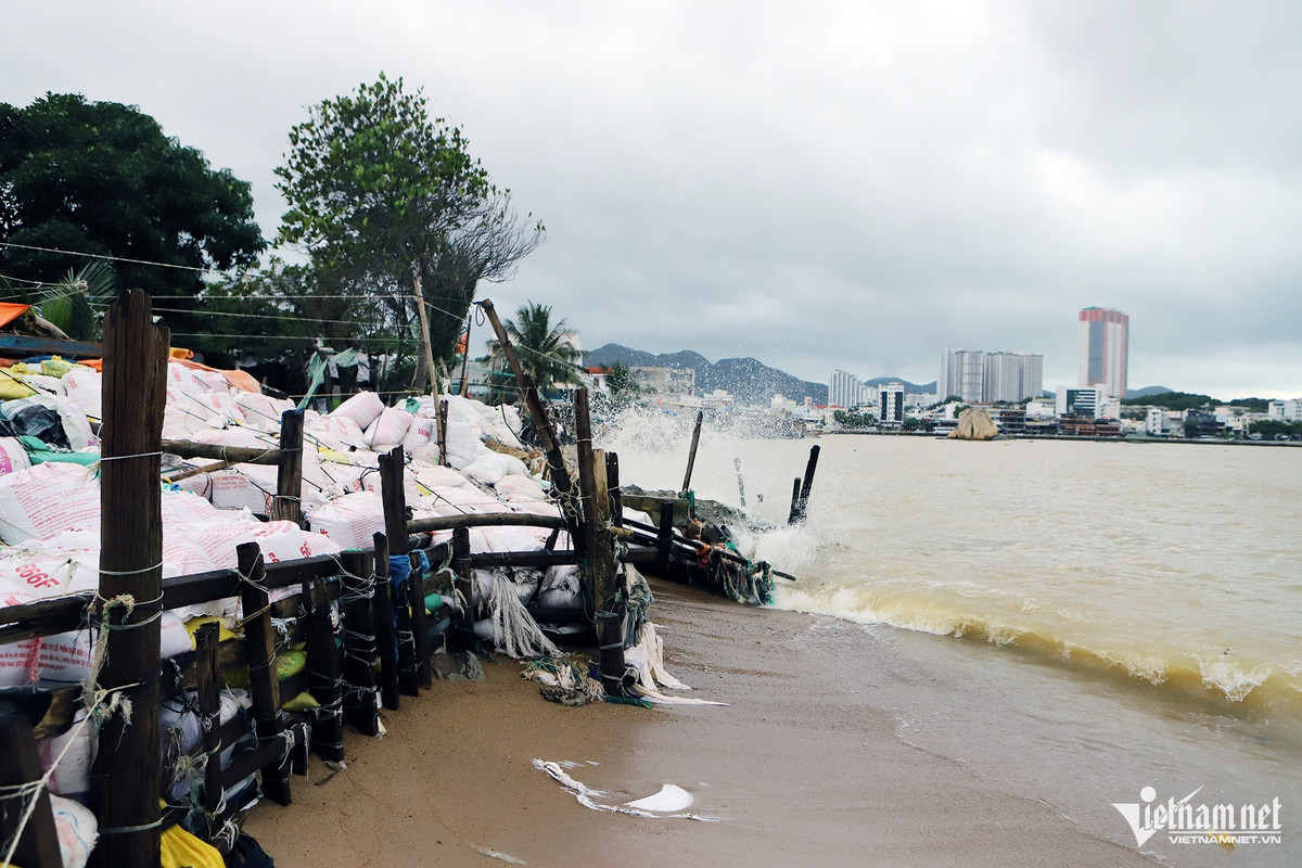 Trước đây, chính quyền địa phương từng thông báo làm dự án kè, đường xung quanh cồn Nhất Trí. Sau đó, một số đơn vị đến khảo sát, cắm mốc. Nhưng gần 20 năm trôi qua, chưa có dự án nào được triển khai. Theo UBND phường Vĩnh Phước, chính quyền TP Nha Trang có chủ trương xây kè tạm để ngăn tình trạng sạt lở tại cồn Nhất Trí trong năm 2025. Địa phương đã tổng hợp ý kiến của người dân, báo cáo UBND TP Nha Trang để có chính sách hỗ trợ.