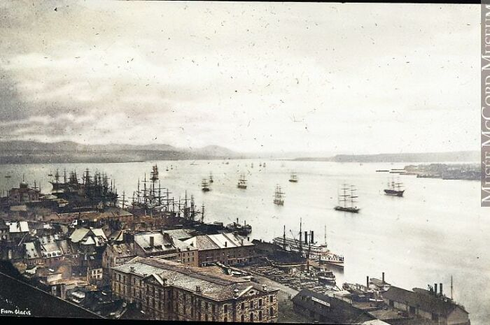 Cảnh quan sông St-Lawrence nhìn từ thành phố Québec (Canada) vào những năm 1800.