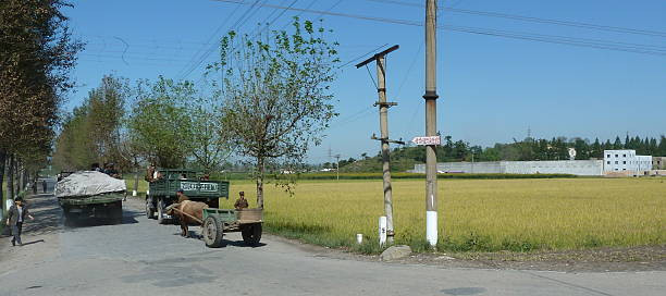 Bức ảnh được chụp vào ngày 23/9/2010 cho thấy những chiếc xe di chuyển trên một con đường làng cạnh cánh đồng ở ngoại ô thủ đô Bình Nhưỡng của Triều Tiên.