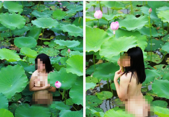 Loa lo trong dam sen: Chi lam o ue hoa dep!