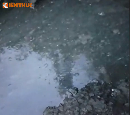 Dan dung leu chan cong CCN: Thiet hai hang chuc ty, trach nhiem cua ai?-Hinh-2